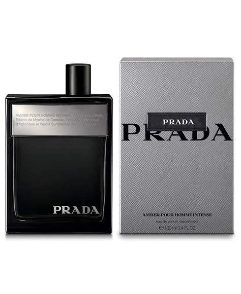 amber intense prada